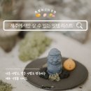 구산로 | 특별하고 다양한 제주 기념품샵 내돈내산 후기 (스윗섬, 찰리공장, 바이제주,동문시장)