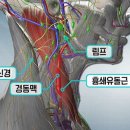 두통에 어지럼증까지 있다면[바른몸애] 이미지