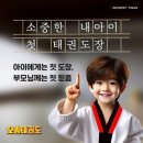 송강태권도 이미지