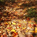 용호고등학교 이미지