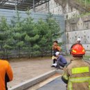 미르스타디움18 이미지