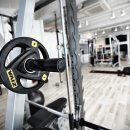 필리스 핏 이미지