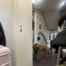 암스테르담 | 암스테르담/ 이비스 암스테르담 센터 내돈내산 후기