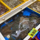 장미수산 이미지