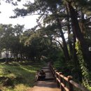 블루워시&커피 이미지