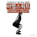 초이휘트니스 이미지