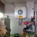 양지선어
