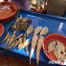 활어종합수족관