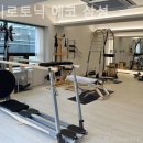 자이로토닉에코