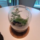 소리향 | 강릉 애견동반 소리향 펜션 독채 후기