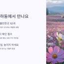 북천 레일바이크 역사 네이버블로그