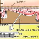 장수왕옥돌침대 이미지