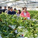 김홍규 농장 이미지