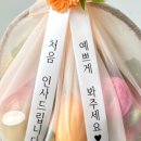 과일리담