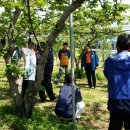 비호농장 이미지