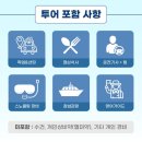 다낭 호핑투어 참섬 스노쿨링 현지투어 후기