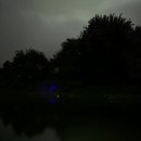 개나리낚시공원 이미지