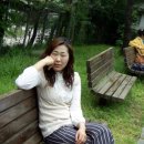 선기로2-5 이미지