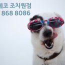 아이데코안경콘택트 이미지