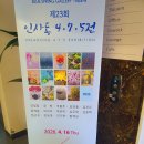 블루스프링 Daum카페