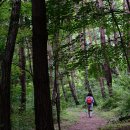 용현계곡입구 주차장 이미지