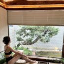 엠브이핏(MVFIT) 이미지