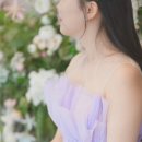 유황꿀돼지 이미지