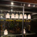 오리만만세 이미지