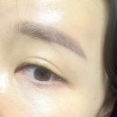 웰빙(자연)음식 | 알파CD 효능 복용법 솔직 후기녹십자웰빙 알파CD핏