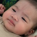 뚜뚜하니 | 100-200일때까지의 뚜뚜 성장기록📝