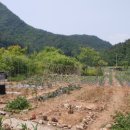 잘커농장 이미지