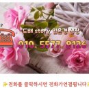행복튼튼동물병원 네이버블로그