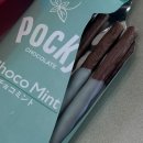 명륜진사 태양광발전소 | 여름의 시작