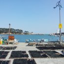 기장미역다시마축제 이미지