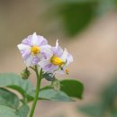 보리원농장 이미지