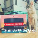 루미스텔라