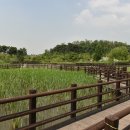 푸른수목원 이미지