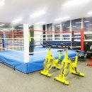 대한복싱체육관 이미지