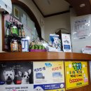 용호동물병원 이미지