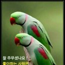 인치맘