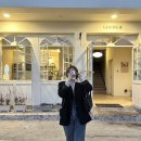 굿 피자 파스타 이미지