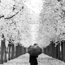 엉뚱한 상상 이미지