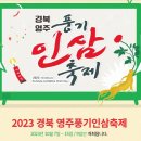 경북영주 풍기인삼축제 이미지
