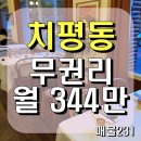 올리브영광주평화공원점 이미지