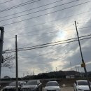 온천삼계탕 | 덕구온천맛집 백송삼계탕 울진 현지 맛집