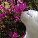 와촌초등학교 이미지