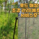 경주예초조경