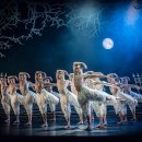 해설이 있는 발레 <백조의 호수> 이미지