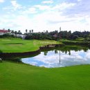 CC카써비스 이미지