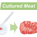 재현목장 이미지